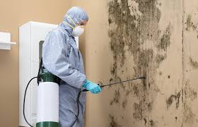 Biohazard Mold Removal in Caldwell, ID